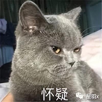 币圈_币圈是什么意思_币圈十大交易所