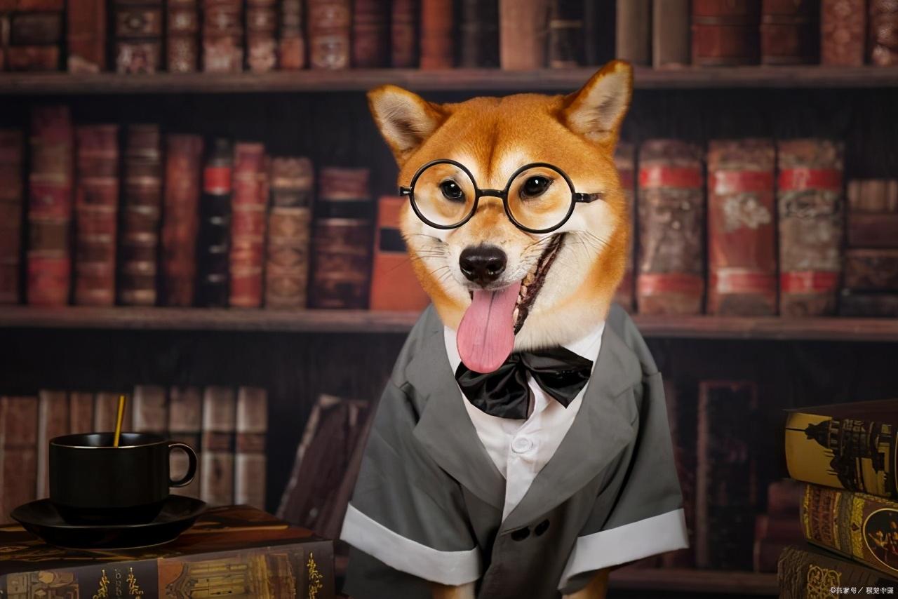 柴犬币_柴犬币_柴犬币