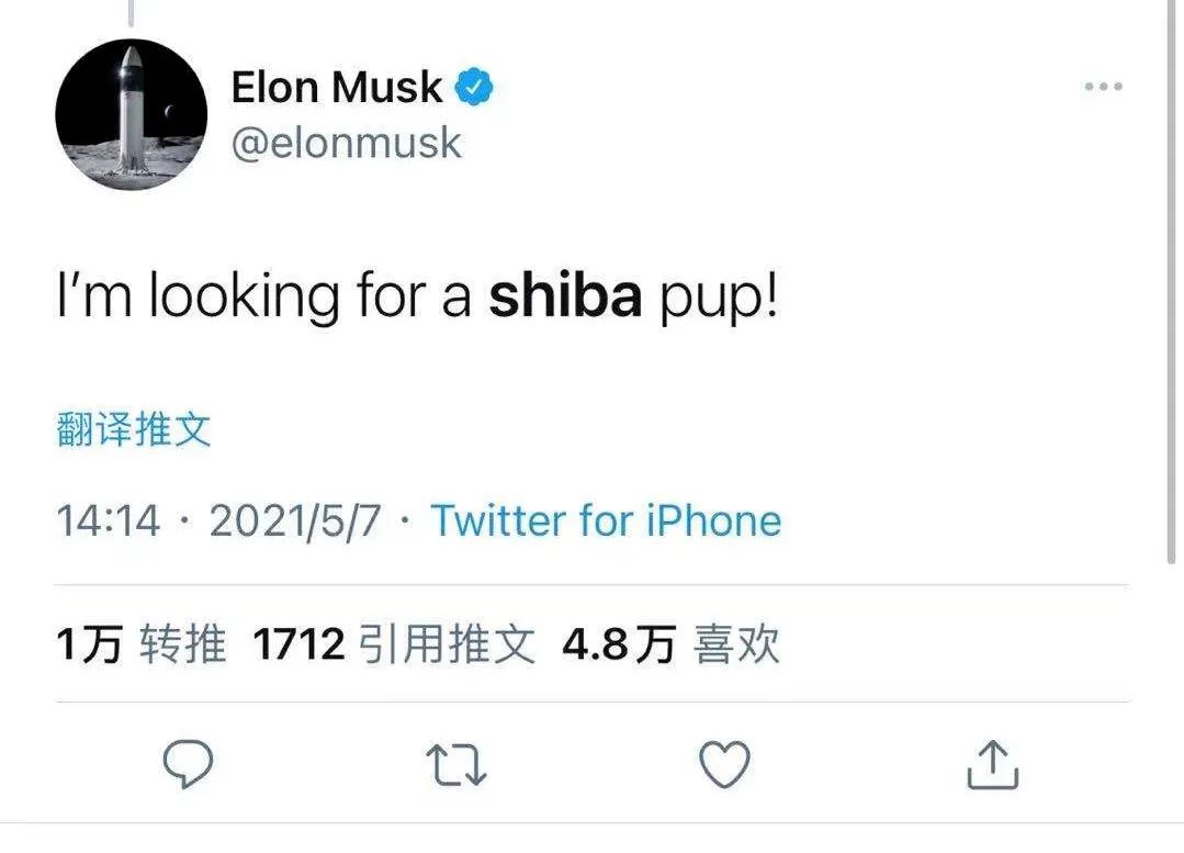 狗狗币最新价格多少_狗狗币_狗狗币未来的升值空间大吗