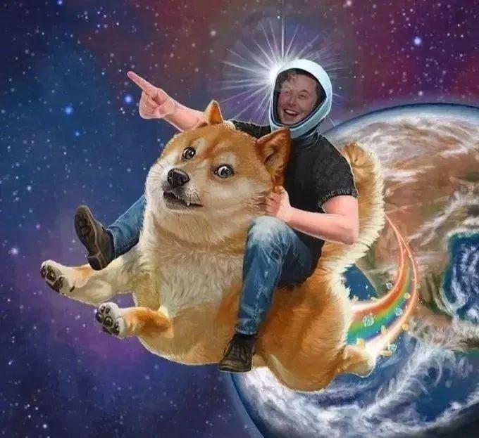 狗狗币价格_狗狗币_狗狗币最新价格多少