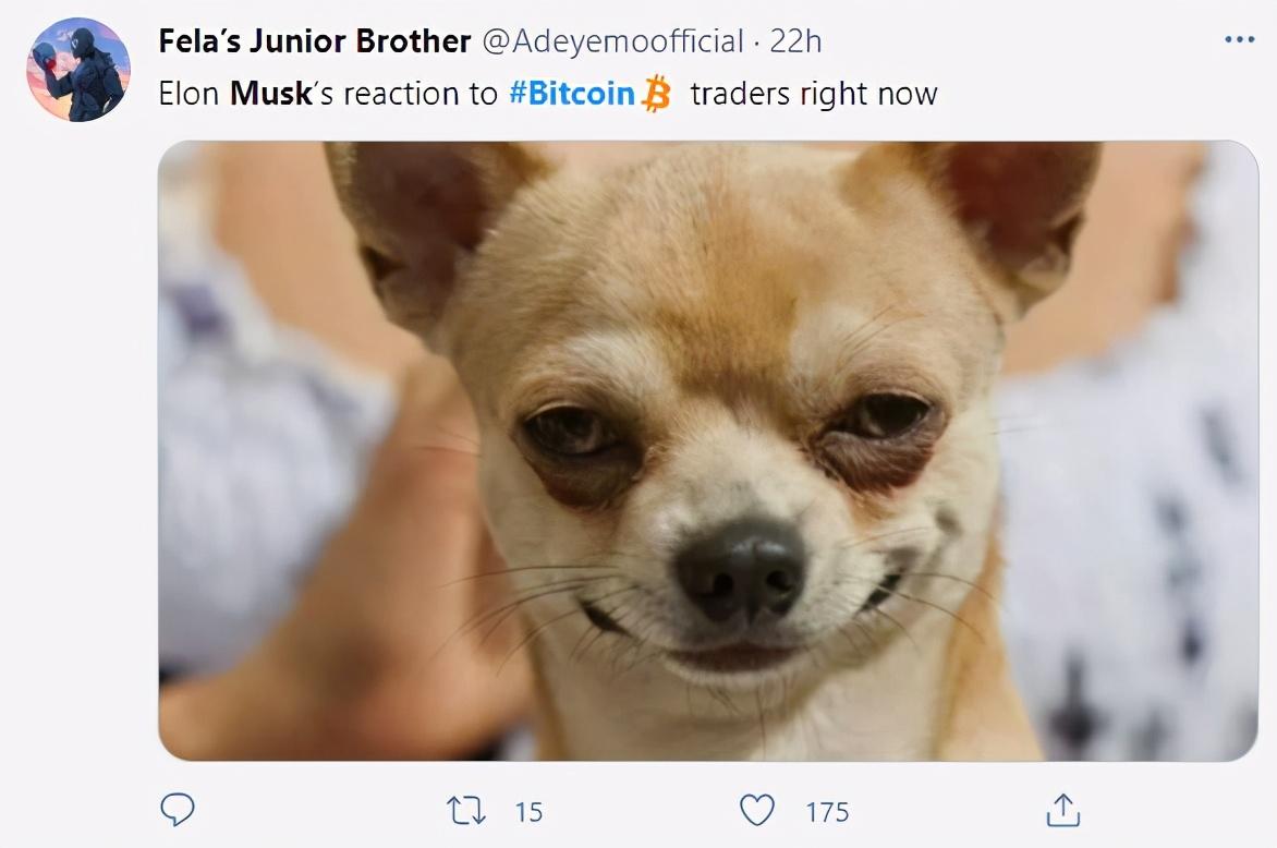 比特币最新价格_比特币_比特币历史价格走势图