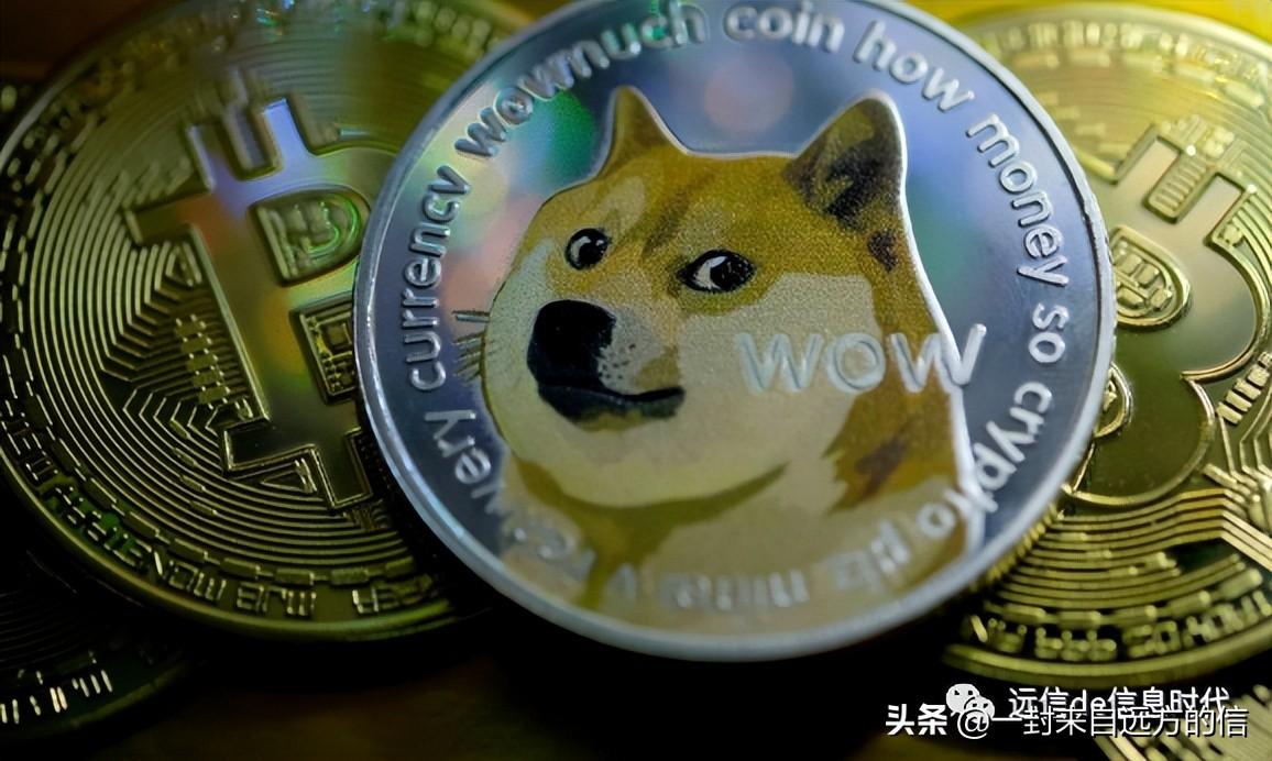 狗狗币购买网站_狗狗币购买app_购买狗狗币