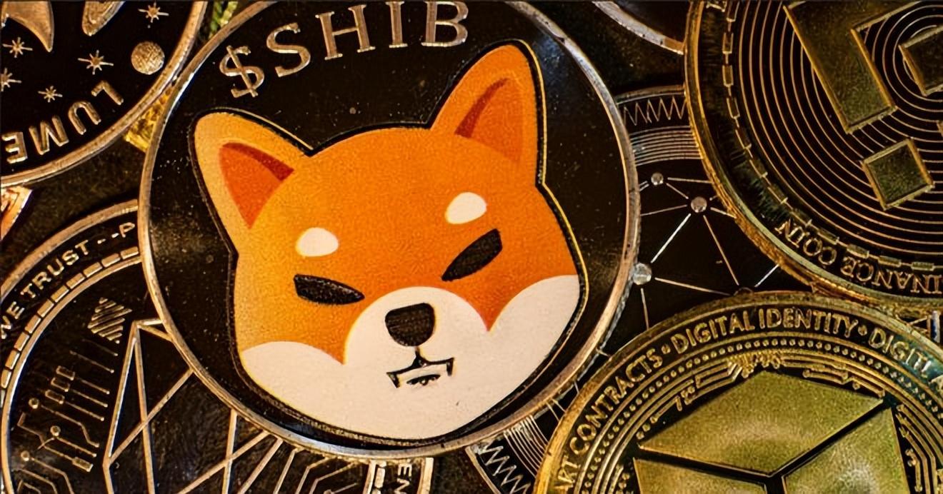 柴犬币_柴犬币_柴犬币