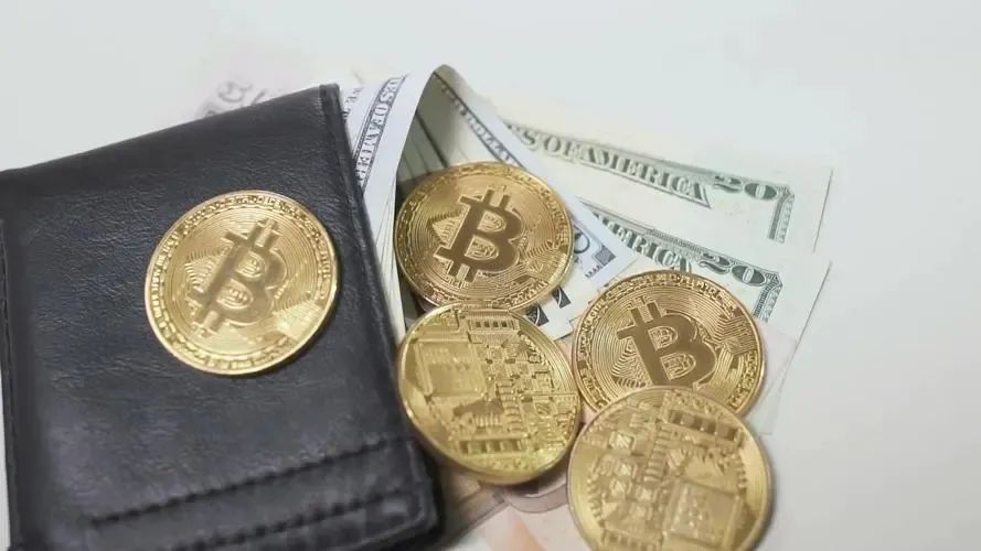 钱包比特币_比特币钱包_钱包比特币网络添加