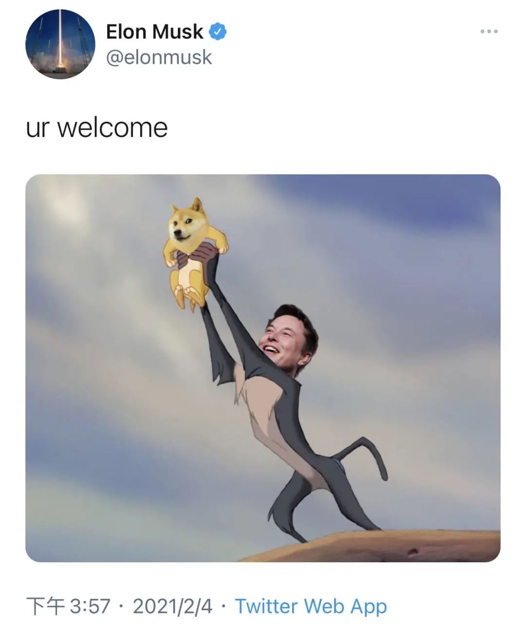 狗狗币历史价格走势图_狗狗币_狗狗币今日价格