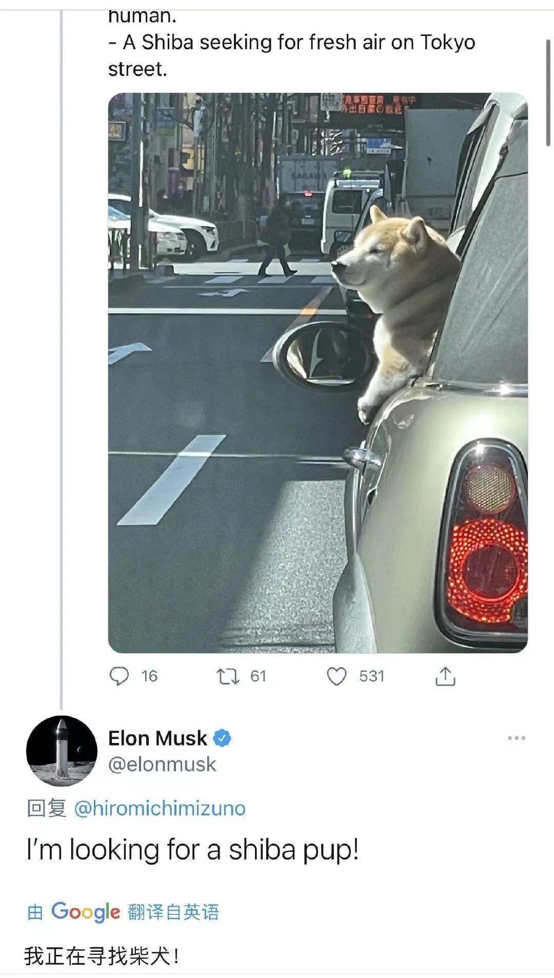 狗狗币历史价格走势图_狗狗币_狗狗币最新价格行情