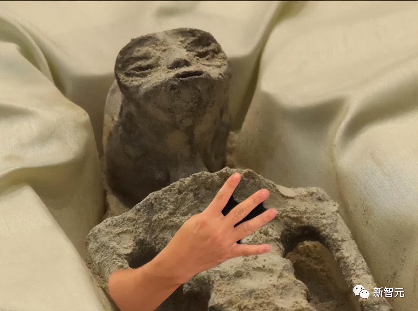 注册币安_注册币安_注册币安