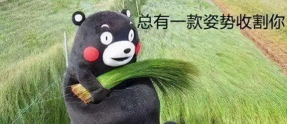 btc官网_btc生态板块的代币_btc