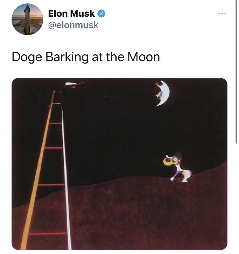 狗狗币_狗狗币网站_狗狗币下载